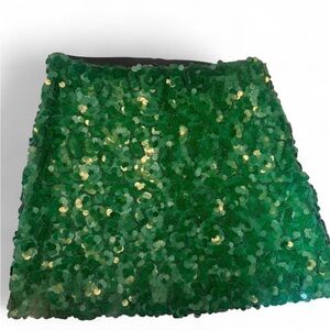 Zara Sequin/ Beaded Green Skirt